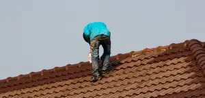 Service Nettoyage de toiture et peinture toiture 60